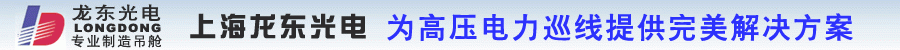 龙东光电子
